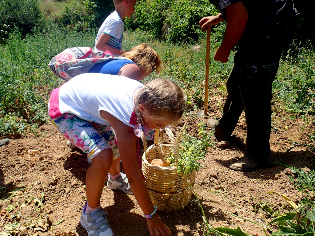 children experiencing the life of a shepherd family