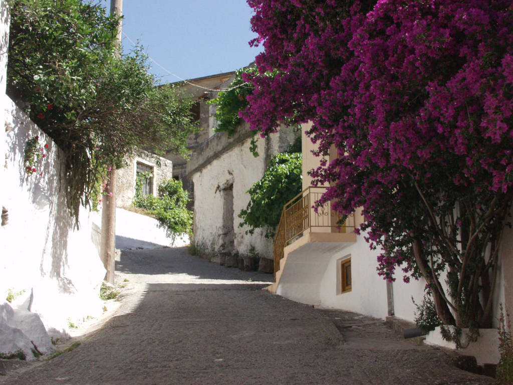 View of a village alley with a blooming bougainvillea