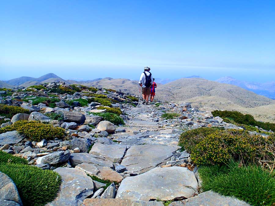 View of the paved pathway (Strata)
